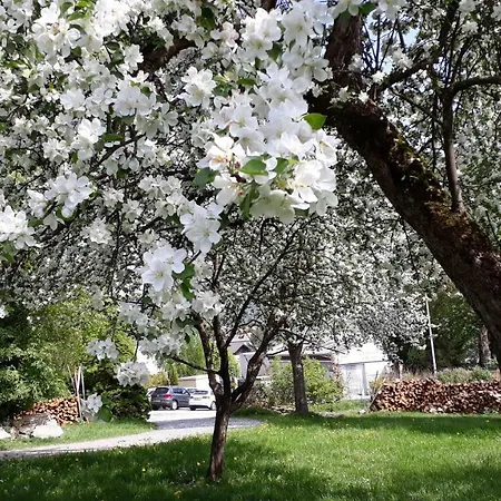 Veit * Aigen im Mühlkreis
