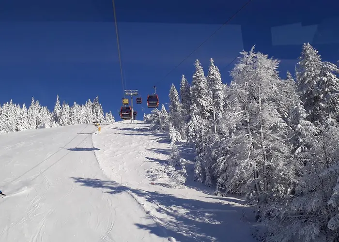 Veit Çiftlik konaklama *