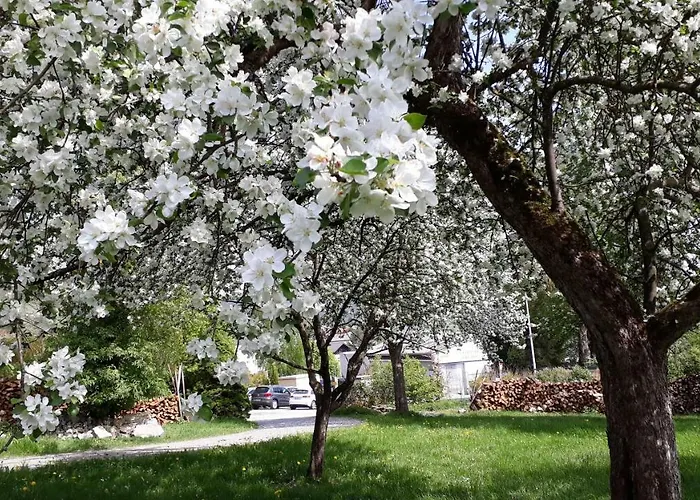 Veit * Aigen im Mühlkreis